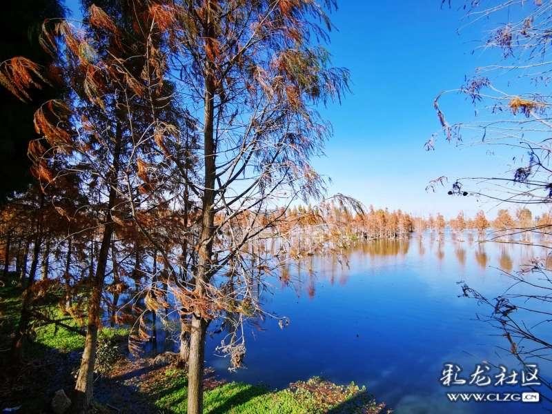 消失的寺庙
