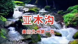 植物大战僵尸6