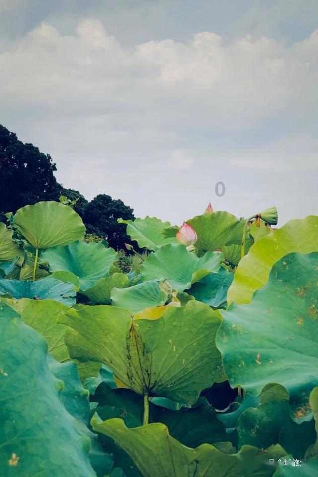 燃烧吧大脑免广告最新版