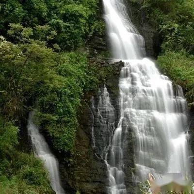 小梅今年8岁,爸爸今年36岁。小梅多少岁时,爸爸的年龄是小梅的3倍-专业的问答平台
