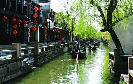 我60岁了，想要找位老板陪伴余生，但是遭到了子女的反对